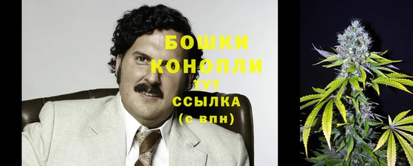 мет Нягань