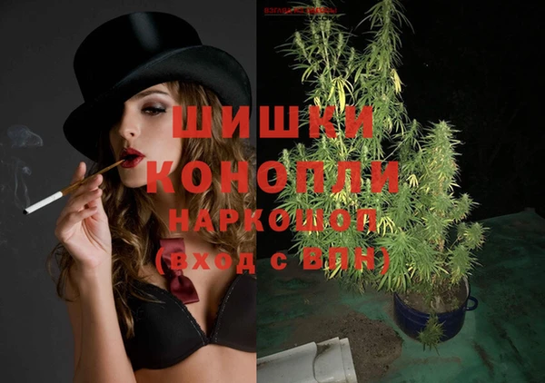стаф Няндома