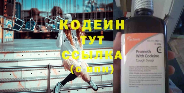 стаф Няндома