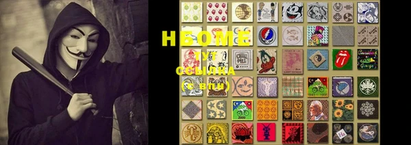 стаф Няндома